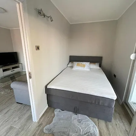 Viewpoint * Belgrade